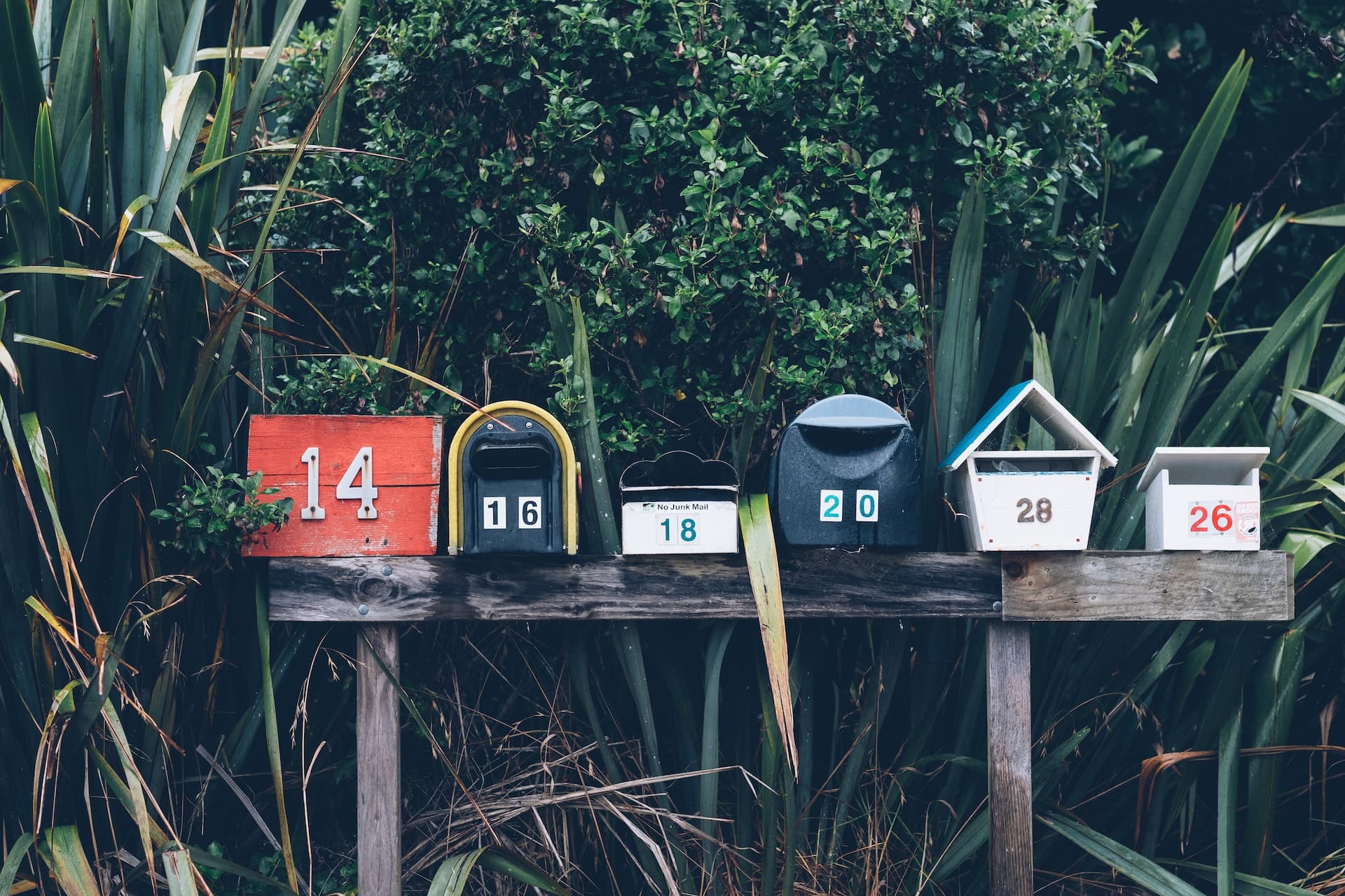 Le contenu de la newsletter