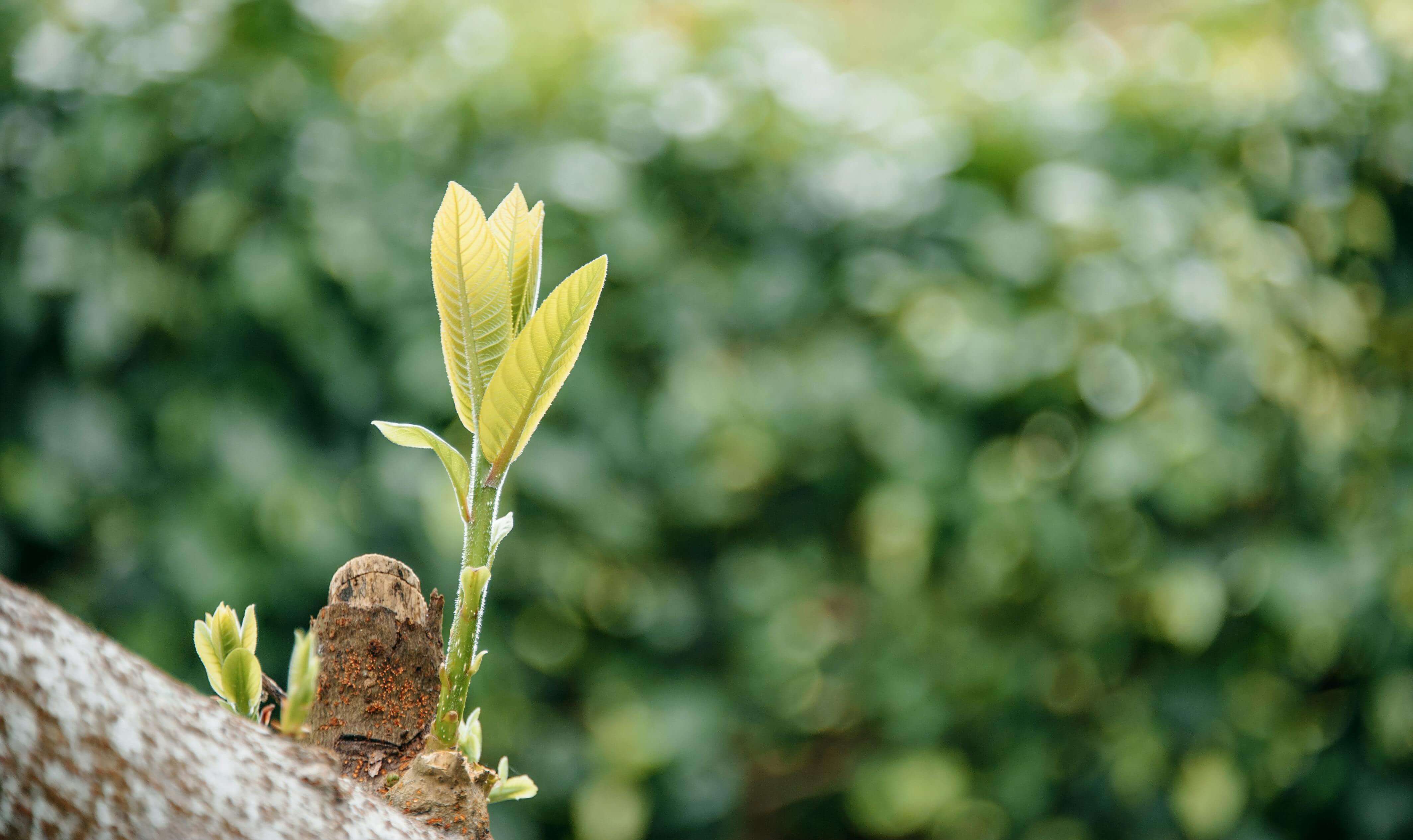 Formation Growth Marketing pour entrepreneurs - Tony Cois