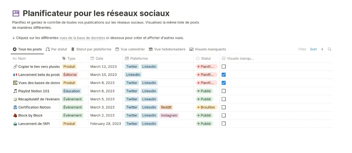 Planificateur pour réseaux sociaux avec Notion